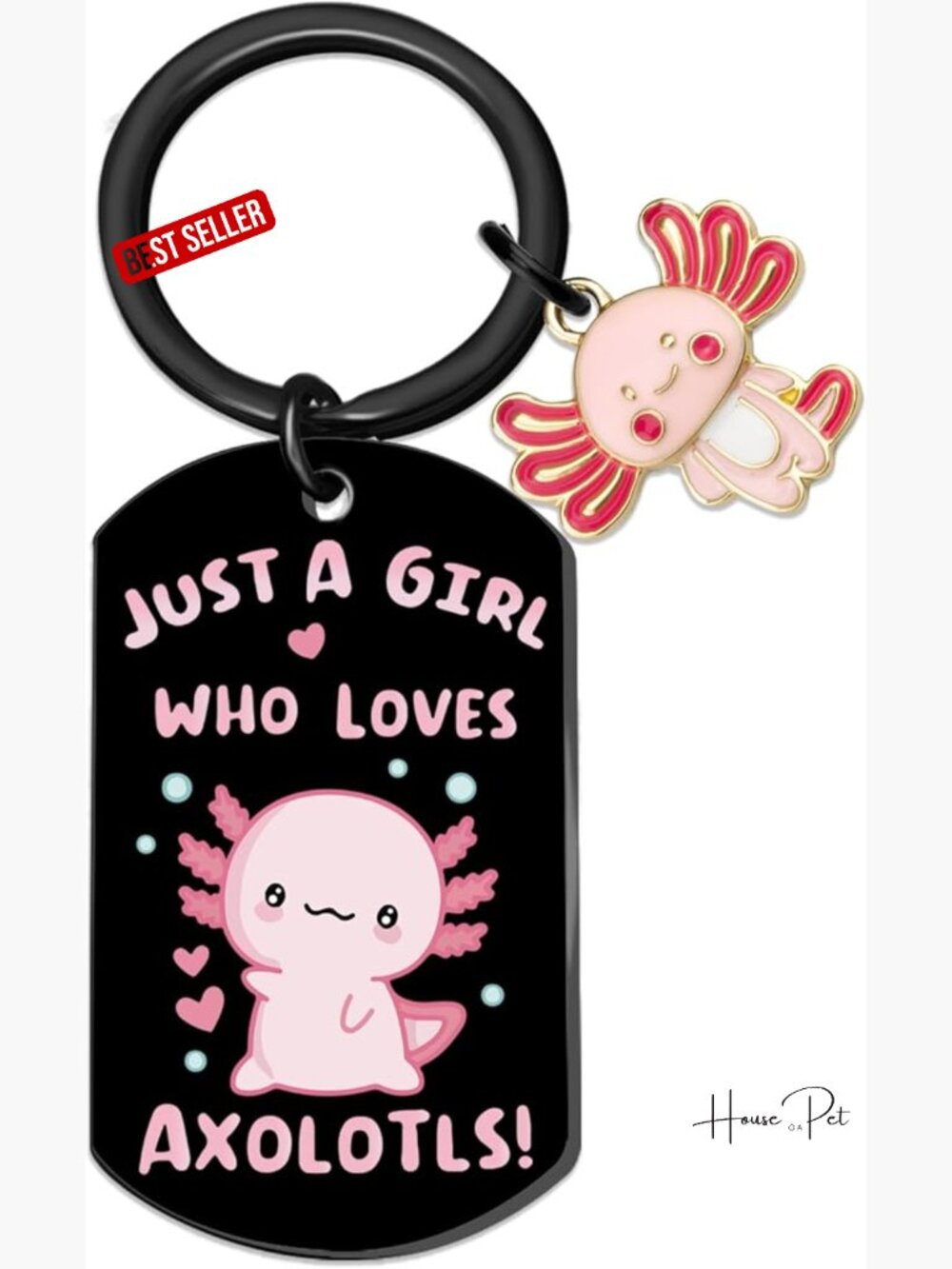 Kawaii Axolotl Keychain Stainless Steel Gift for Girls Teen